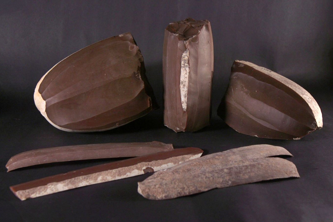 The flint finds from the ancient workshop. 2025. Photo: Emil Aladjem, IAA