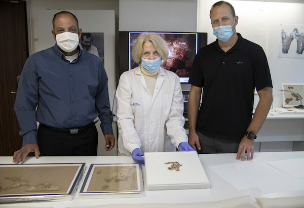 Raz Frohlich, Director General of the Ministry of Culture and Sports, Tanya Bitler, Scroll Conservationist at the Israel Antiquities Authority and Avi Cohen, the Director General of the Ministry of Jerusalem Affairs and Heritage, examining the discovered scroll fragments. (Photo: Shai Halevi/Israel Antiquities Authority)